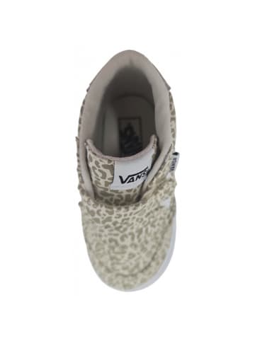 Vans Klettschuh Brooklyn MId V in Mehrfarbig