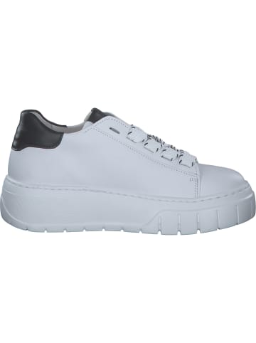 Gabor Fashion Schnürschuhe in Weiss/Schwarz