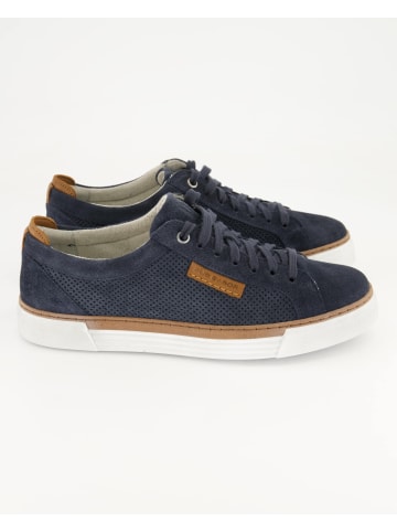 Pius Gabor Sneaker low in Blau