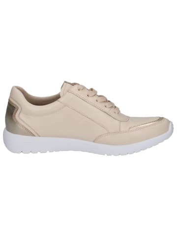Caprice Sneaker in CREAM/GOLD