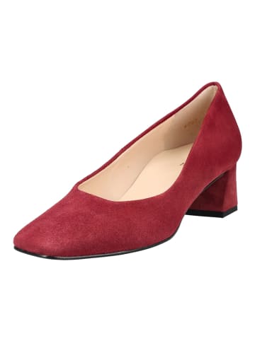 Pumps Rot