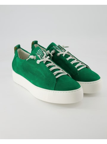 Paul Green Slip On Sneaker in Grün