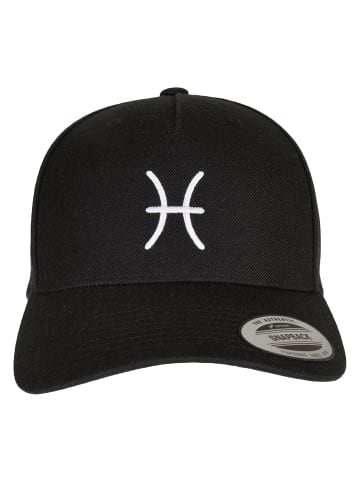 Mister Tee Snapback in pisces