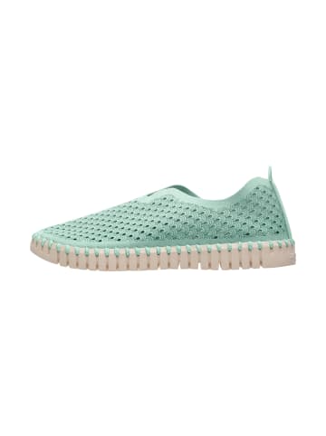 Ilse Jacobsen Sneaker Low TULIP3275 in laurel green