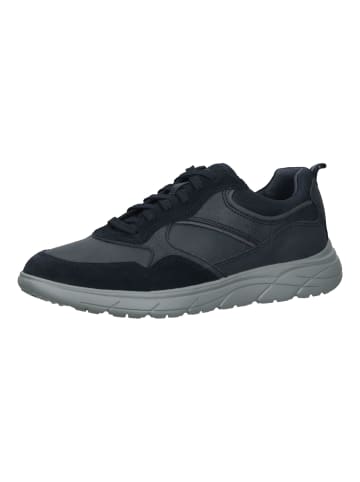 Geox Sneaker in Blau