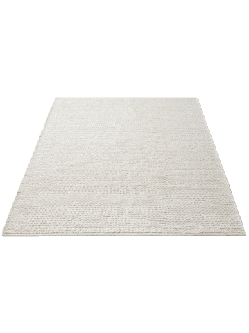the carpet Wollteppich Premium in Creme
