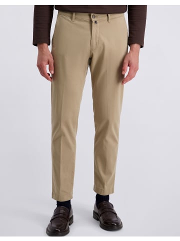 Pierre Cardin Hose Calais in Cornstalk