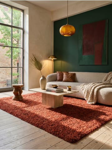KADIMA DESIGN Teppich Hochflor Shaggy Waschbar Einfarbig RHEIN Strapazierfähig in Terrakotta