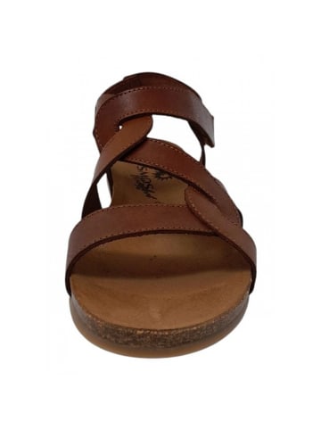 Cosmos Comfort Sandale  in Braun