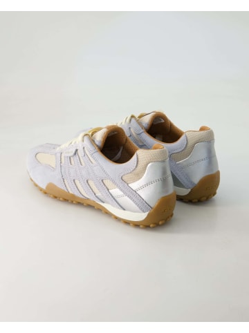 Geox Sneaker low in Grau