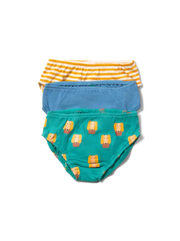 Little Green Radicals Bio-Unterwäsche-Set 3er-Pack in Bunt