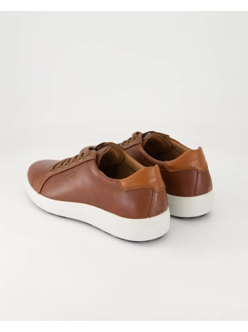Josef Seibel Sneaker low in Braun