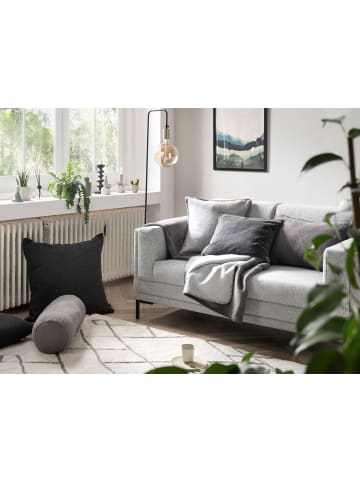Cats Collection Wohndecke Twin in anthracite