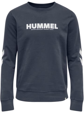 Hummel Hoodie in Blau