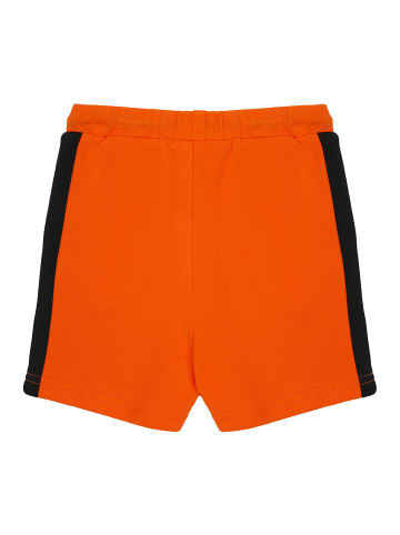 Gulliver Shorts in Orange