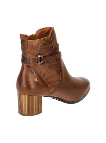 Pikolinos Ankle Boots in Braun