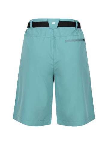 Regatta Funktionsshorts Xert Str in Petrol