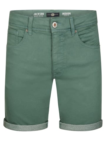 Petrol Industries Jackson Farbige Denim-Shorts Coconut in Grün