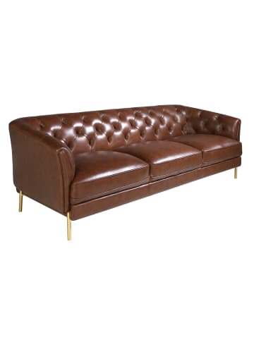 Angel Cerdá Chester-Sofa 6140 in Braun / Gold