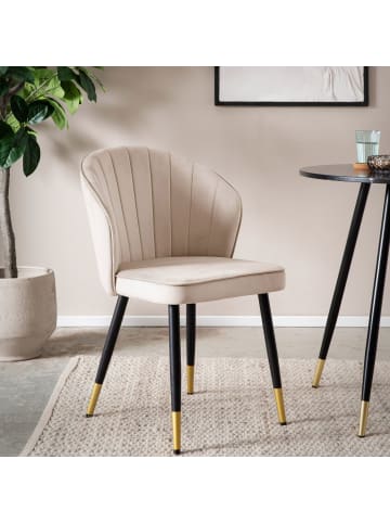 FineBuy Esszimmerstuhl in Beige / Samt / 53x55x83