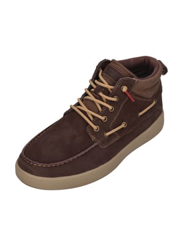 natural world Schnürschuhe CERLER 8452 in braun