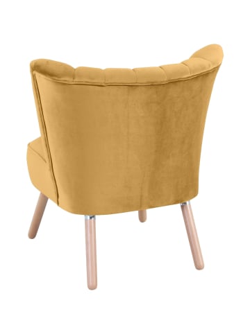 58 aufm Kessel SESSEL Kadisha Bezug Samtvelours Buche natur / mais