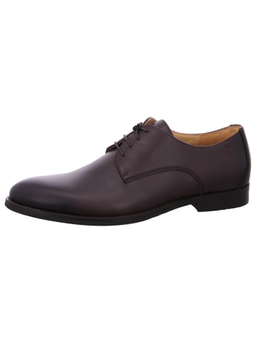DIGEL Business Schuh Sebastian in Braun