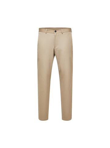 Selected Hose in Incense