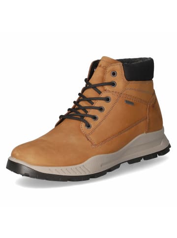 Igi&Co Schnürstiefel in braun