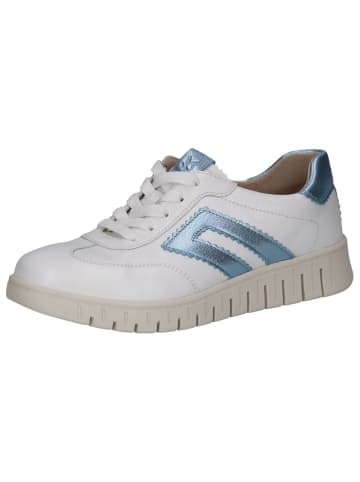 Caprice Sneaker in WHITE/LT.BLUE