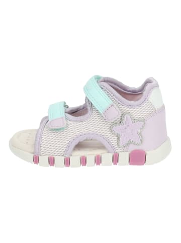 Geox Sandalen in Pink/Violett