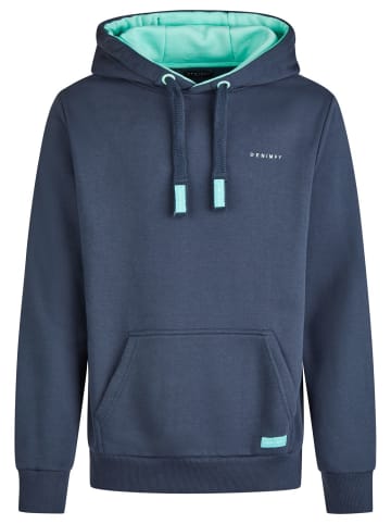 DENIMFY Pullover DFBenno in Blau