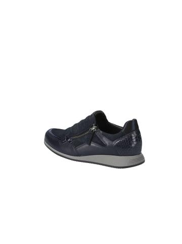 Gabor Lowtop Sneaker Gabor Lowtop Sneaker in darkblue