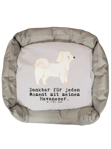 Mr. & Mrs. Panda Hundematratze Havaneser Moment mit Spruch in Grau Pastell