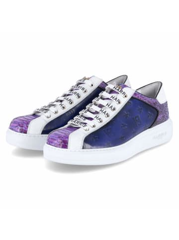 Harris Schnürhalbschuh in blau