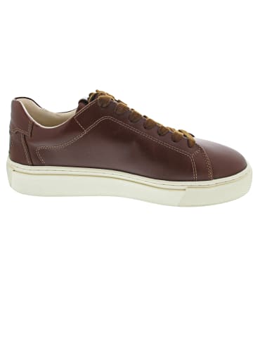 Gant Mc Julien Sneaker low Braun