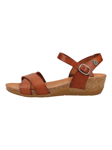 Cosmos Comfort Sandalen in Braun