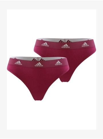 adidas Tanga Realasting Cotton in Bordeaux