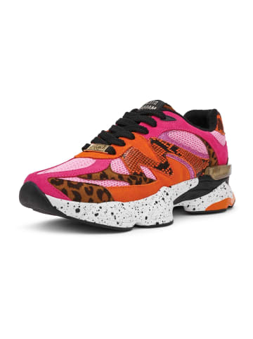 Steve Madden Sneaker in Pink