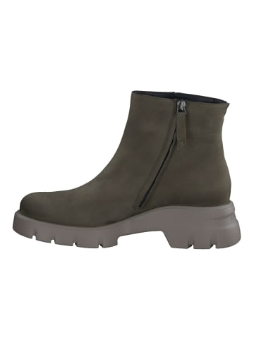 Paul Green Stiefelette in Olive