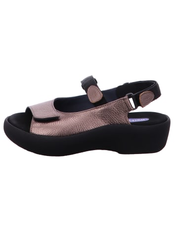 wolky Schnürschuh in bronze