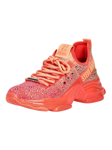 Steve Madden Sneaker in Peach