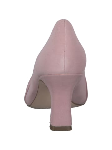 Caprice Pumps in CANDY SUEDE