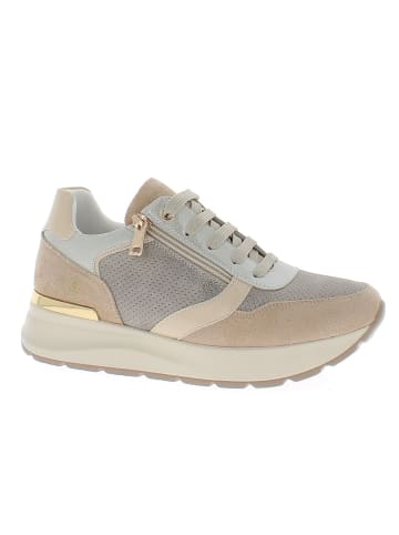 Armata di Mare Sneaker AMDS61H10-BEIGE-BRONZE Beige