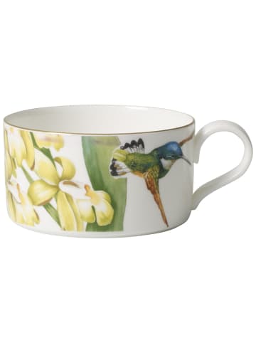 Villeroy & Boch Teetasse Amazonia 230 ml in bunt