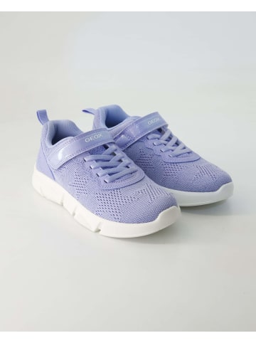 Geox Klettschuhe in Lila