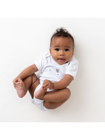 Schlummersack Bio Baby-Bodys kurzarm 5er-Pack in Hellblau-Rot