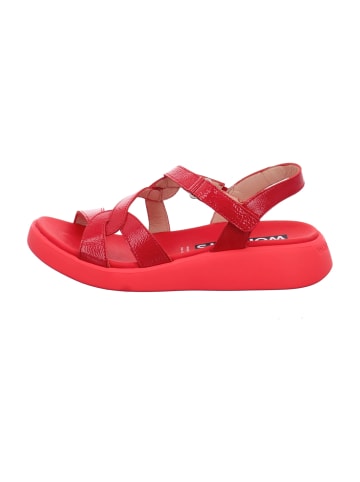 Wonders Sandalen in Rot
