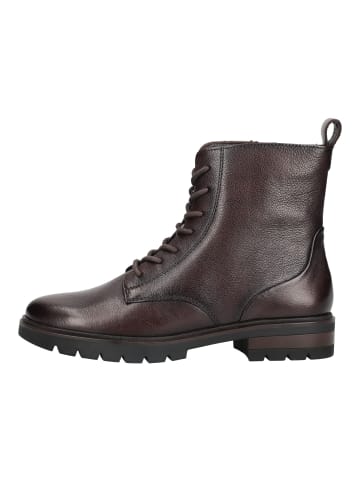 ara Stiefelette CAMBRIDGE-ST. Cacao