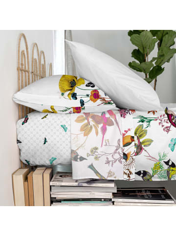 Happy Friday Birds of paradise Oberlaken